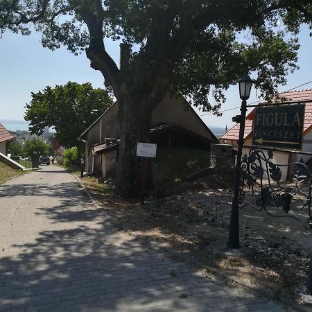巴拉顿菲赖德 费古拉文德加兹旅馆酒店 外观 照片